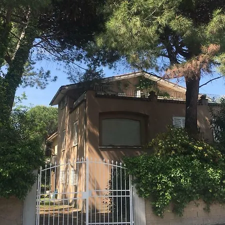Di Fronte Al Mare Nella Pineta *