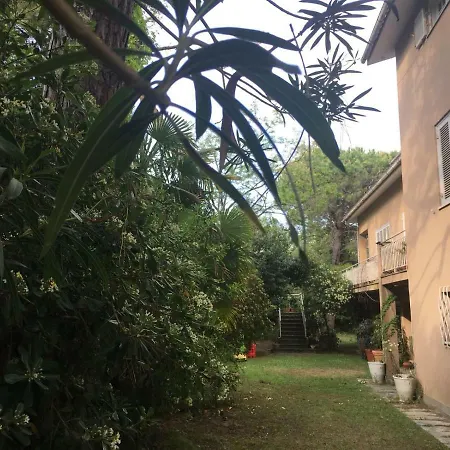 Di Fronte Al Mare Nella Pineta 아파트 *